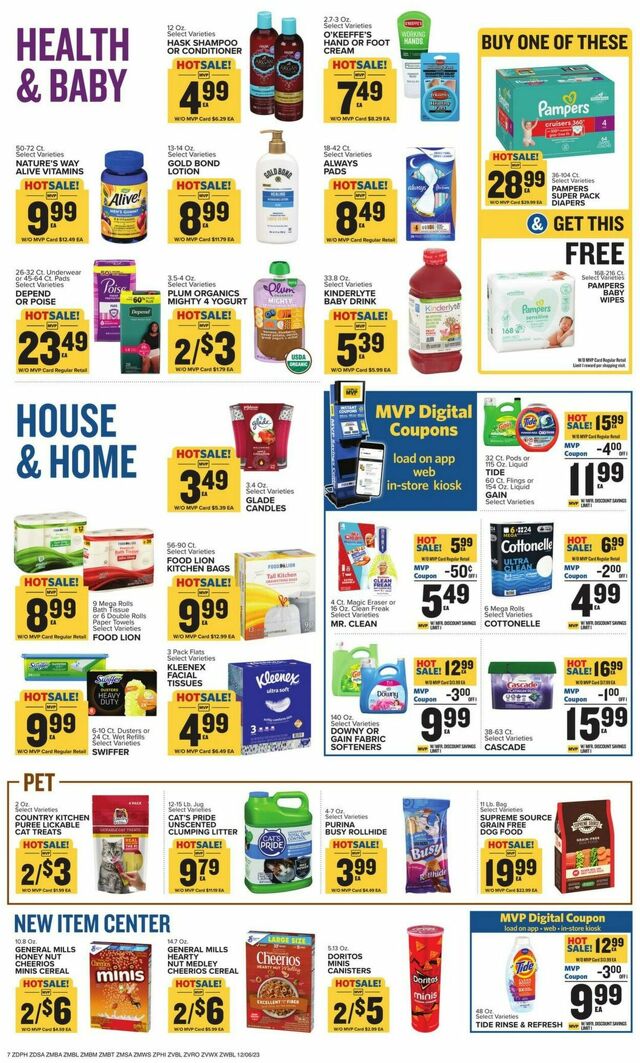 Catalogue Food Lion from 12/06/2023