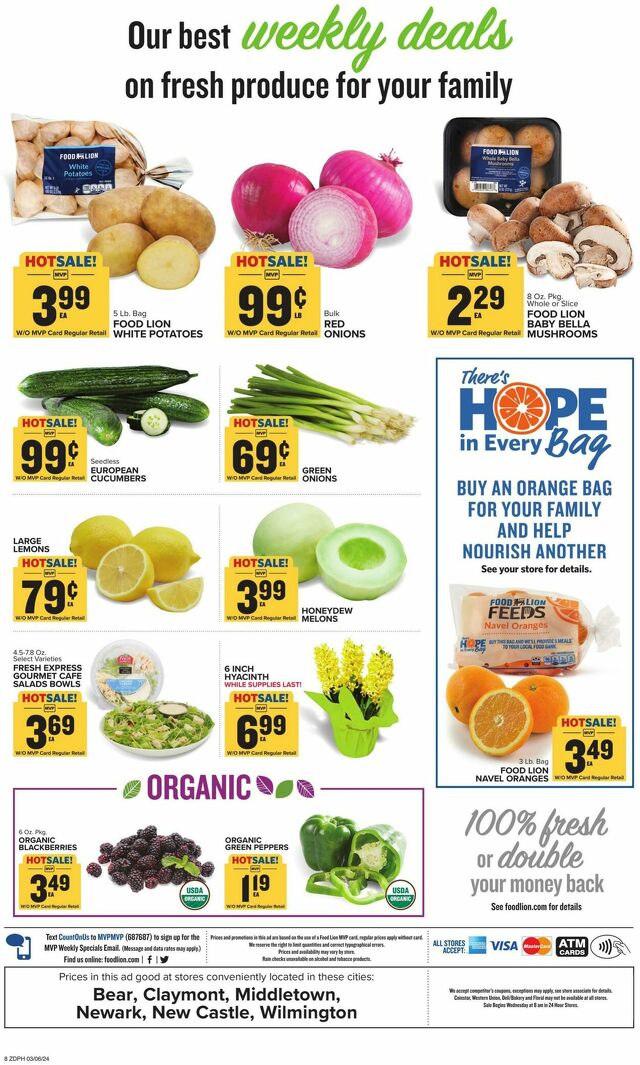 Catalogue Food Lion from 03/06/2024