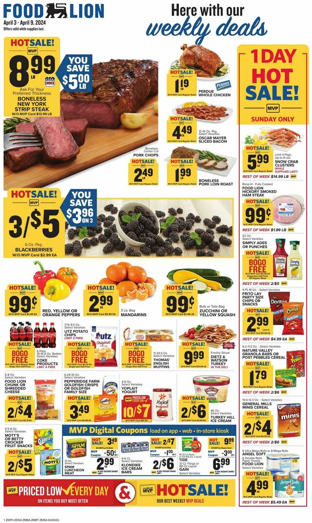 Catalogue Food Lion from 04/03/2024