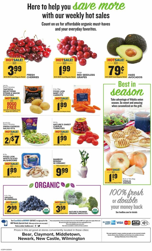 Catalogue Food Lion from 05/29/2024