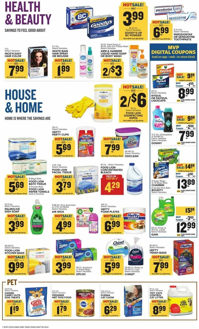 Catalogue Food Lion from 09/18/2024