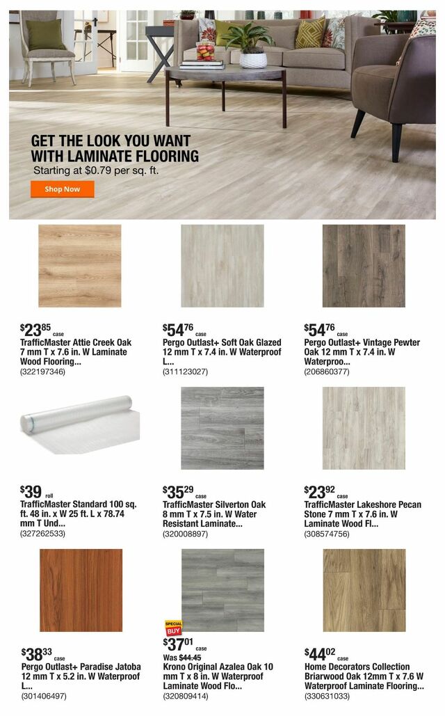 Catalogue Home Depot from 01/23/2025