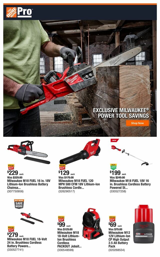 Catalogue Home Depot from 03/17/2025