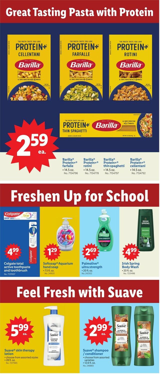 Catalogue Lidl from 08/13/2025