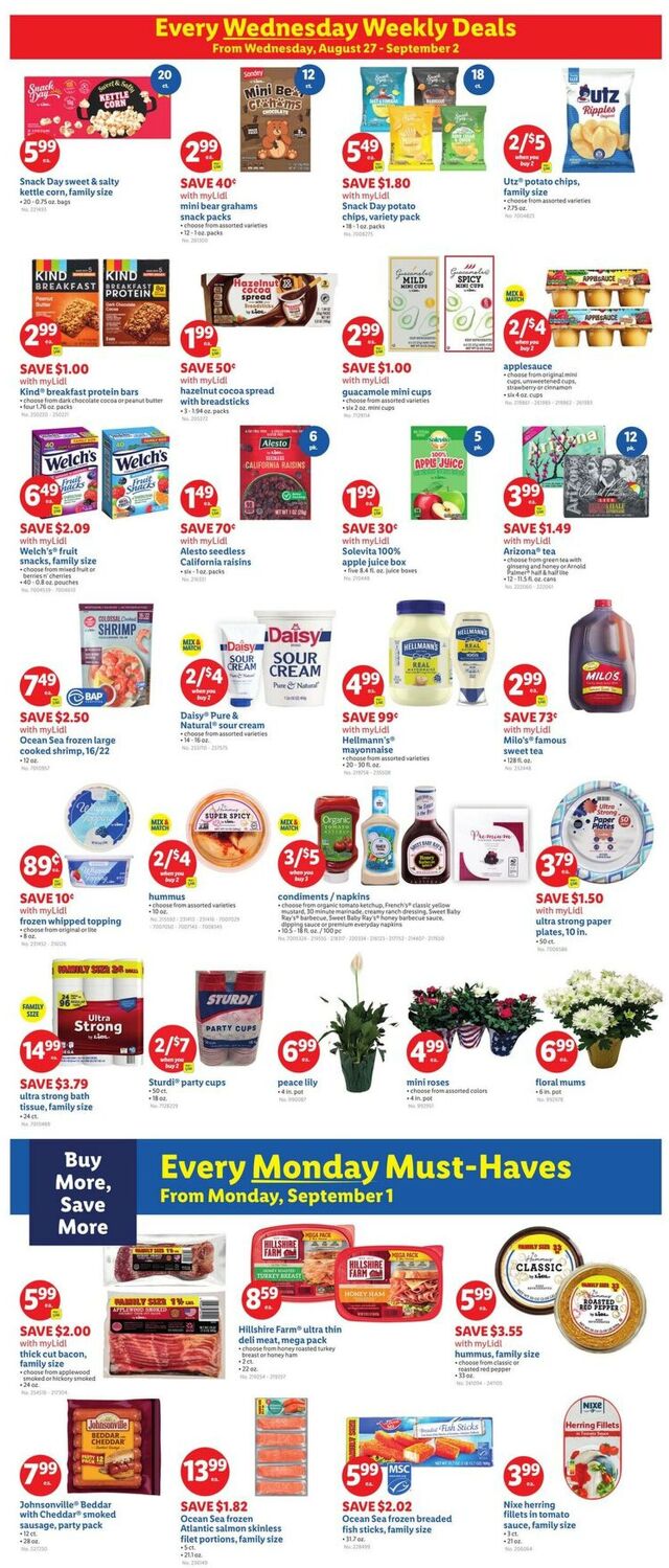 Catalogue Lidl from 08/29/2025