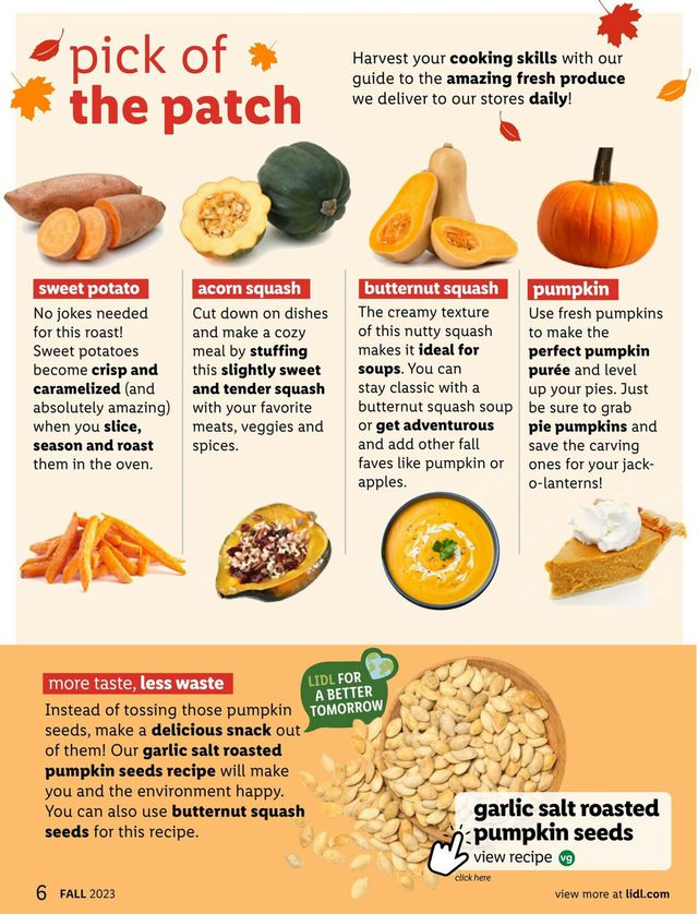 Catalogue Lidl from 08/30/2023