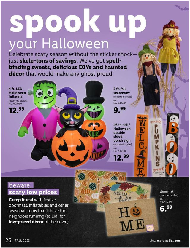 Catalogue Lidl from 08/30/2023