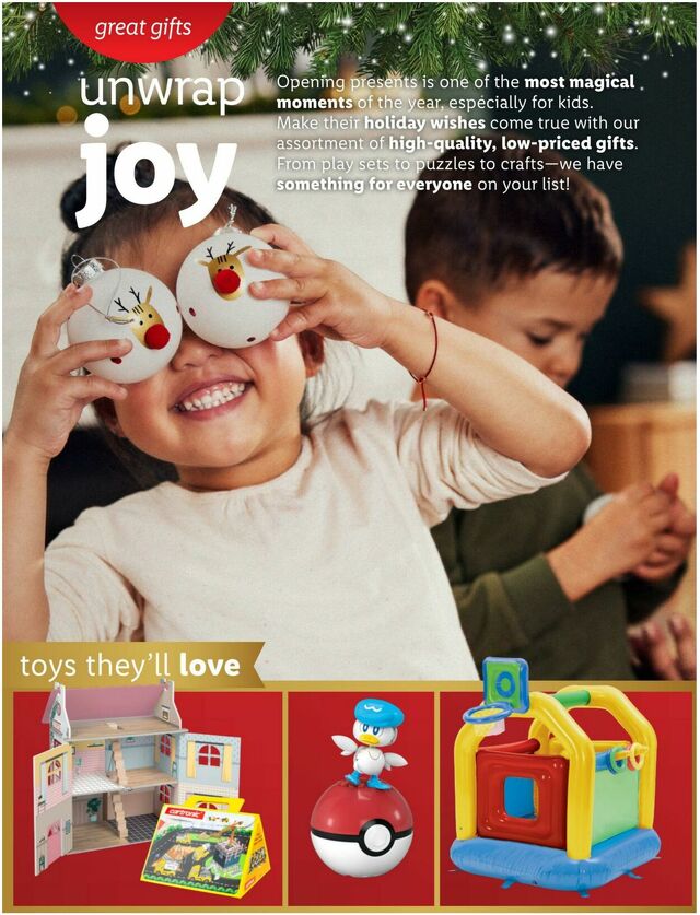 Catalogue Lidl from 11/29/2023