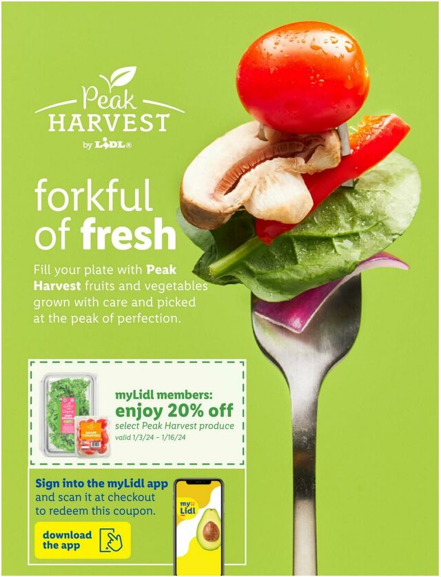 Catalogue Lidl from 12/27/2023