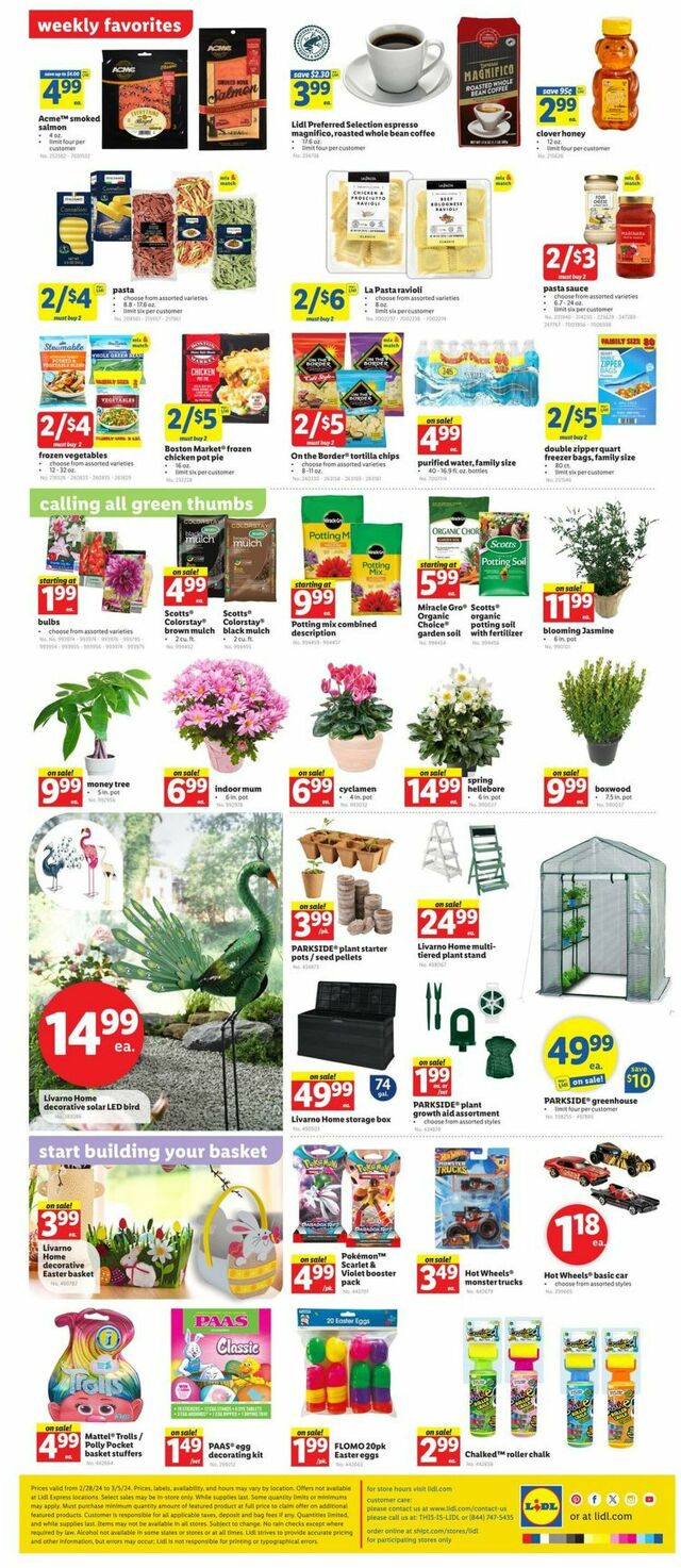 Catalogue Lidl from 02/28/2024