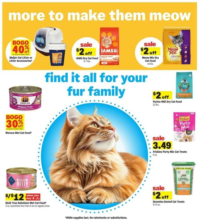 Catalogue Meijer from 07/06/2025