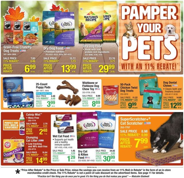 Catalogue Menards from 10/22/2025