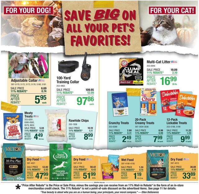 Catalogue Menards from 10/29/2025