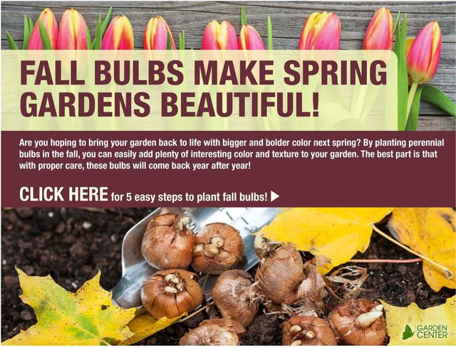 Catalogue Menards from 09/07/2023