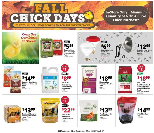 Catalogue Rural King from 09/14/2023