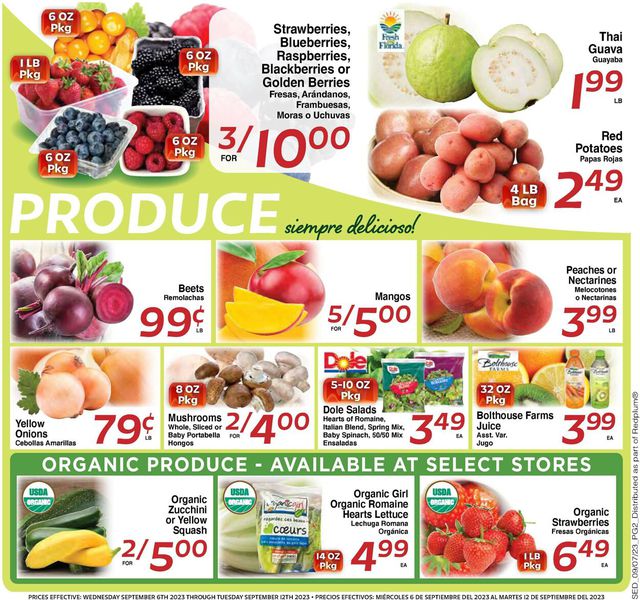 Catalogue Sedano's from 09/06/2023